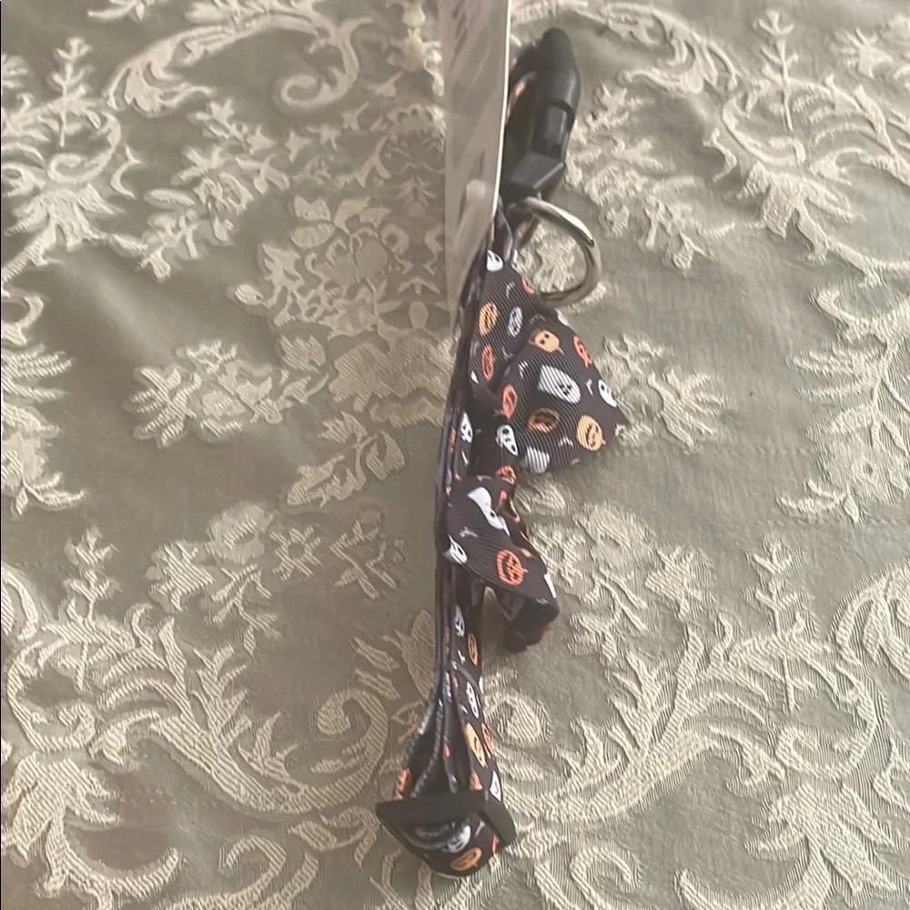 Party Dog Dog Collar with Bow Tie - Black and Orange